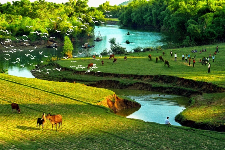 Những người rời xa nơi 