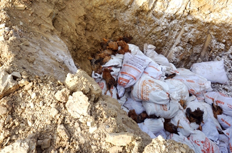 TIEU-HUY-1-6144-1450152113