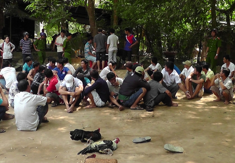 ph&aacute; sới g&agrave; Đồng Th&aacute;p