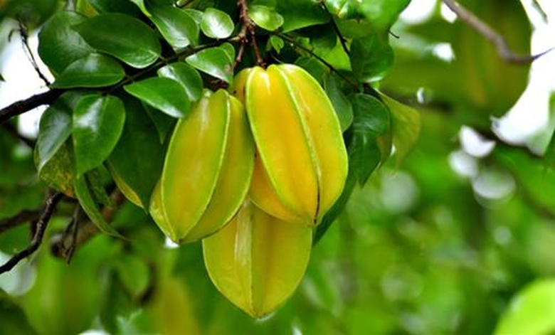 alotin.vn_1404201422_5149a93bcaf2cc4dd45af3fc37873