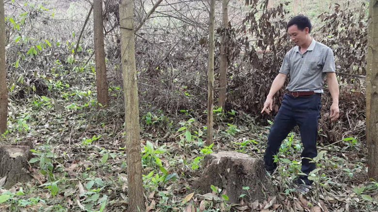 Screenshot_2016-04-06-08-45-02