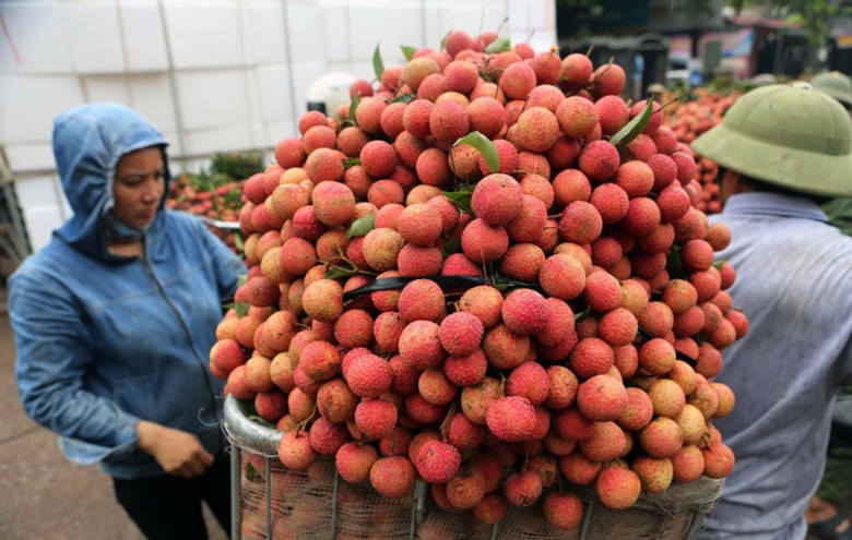Vai thieu dang do chinh vu tuoi ngon. Ảnh Minh Qu