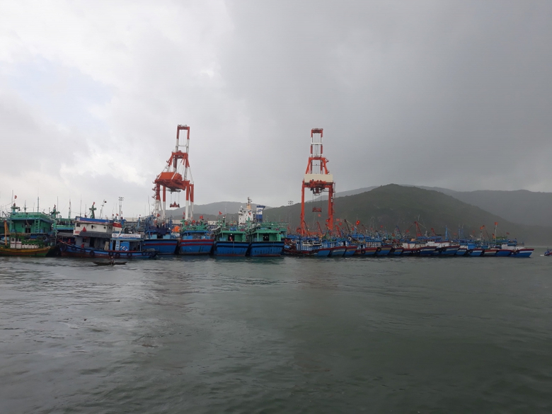 46511348_288911895092806_3591589731818799104_n