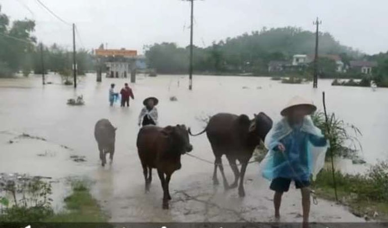 48082759_494215247769522_3511966200701648896_n