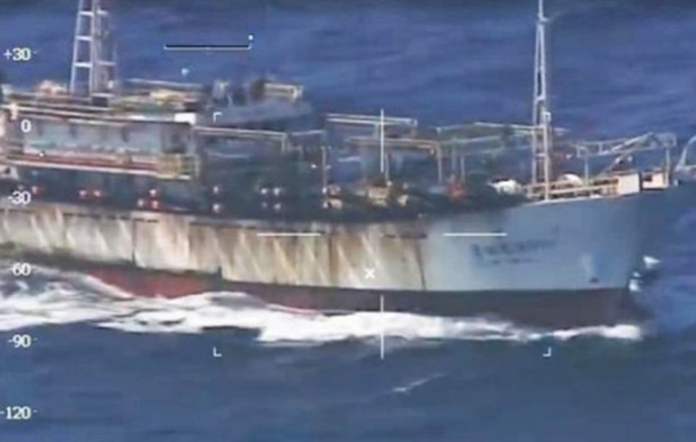 ban-chim-tau-ca-trung-quoc