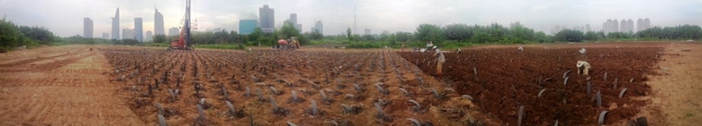 bac tham hut chan khong