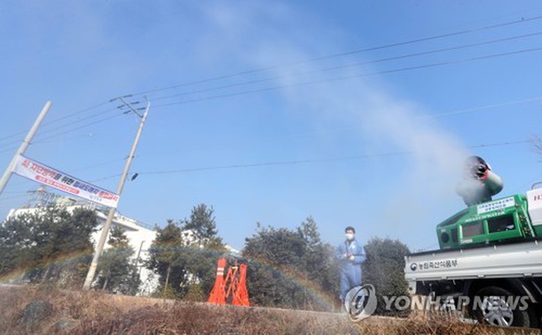 C&uacute;m H5N6 H&agrave;n Quốc