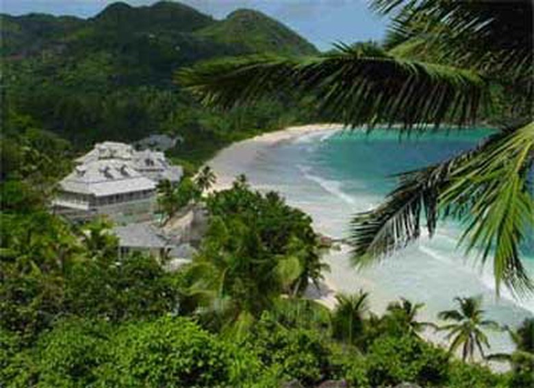 ảnh b&aacute;n đảo sơn tr&agrave; 3.jpg