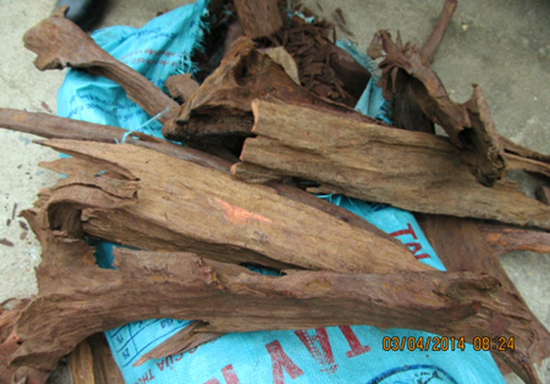 Trong bao tải hầu hết l&agrave; gỗ Đinh Hương v&agrave; gỗ Sưa