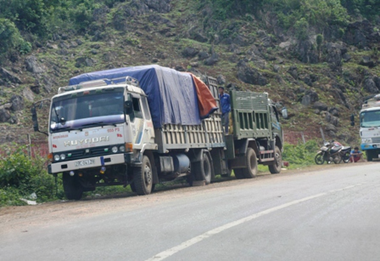  Tất cả hoạt động đều diễn ra c&ocirc;ng khai v&agrave; tất bật