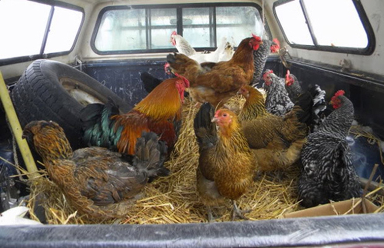 Nếu bị kết tội l&aacute;i xe khi say rượu, t&agrave;i xế c&oacute; thể kh&ocirc;ng được nhận giấy ph&eacute;p l&aacute;i xe nữa khi ở New Jersey.