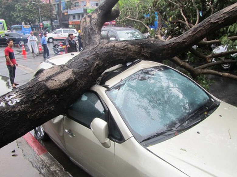 một xế hộp bị c&acirc;y to đ&egrave; bẹp sau cơn mưa chiều 28/5 tại khu vực trung t&acirc;m TPHCM