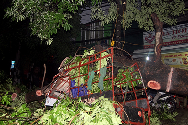 Th&acirc;n c&acirc;y đổ xuống đ&egrave; n&aacute;t chiếc xe 3 b&aacute;nh tự chế, may mắn người t&agrave;i xế chỉ bị thương nhẹ v&igrave; đ&atilde; kịp nhảy ra ngo&agrave;i.