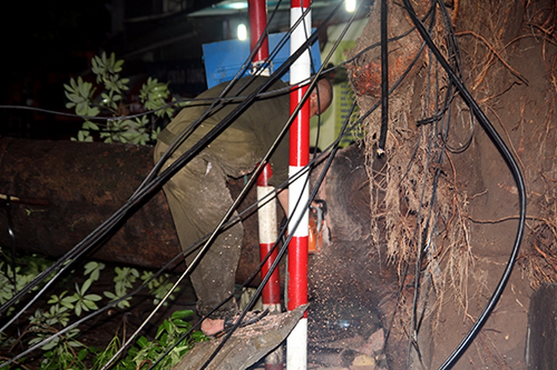 Một nh&acirc;n vi&ecirc;n cứu hộ đang cưa th&acirc;n c&acirc;y rời ra để dễ vận chuyển đi chỗ kh&aacute;c.