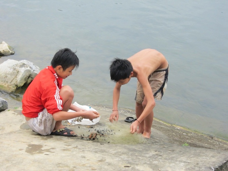 Mang cả lưới ra thả để bắt c&aacute;