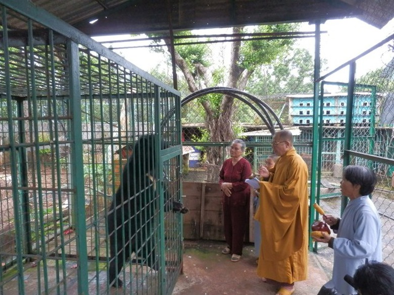 Gia đ&igrave;nh &ocirc;ng Đại mời sư trụ tr&igrave; l&agrave;m lễ ph&oacute;ng sinh cho c&aacute; thể gấu đ&atilde; gắn b&oacute; 15 năm với gia đ&igrave;nh