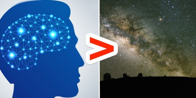 Số khớp nối thần kinh ở người lớn khoảng 500 ngh&igrave;n tỷ