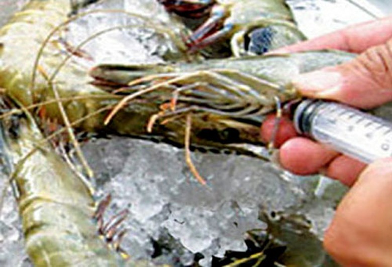 Đưa tạp chất v&agrave;o t&ocirc;m nguy&ecirc;n liệu c&oacute; thể bị tội h&igrave;nh sự - ảnh minh họa