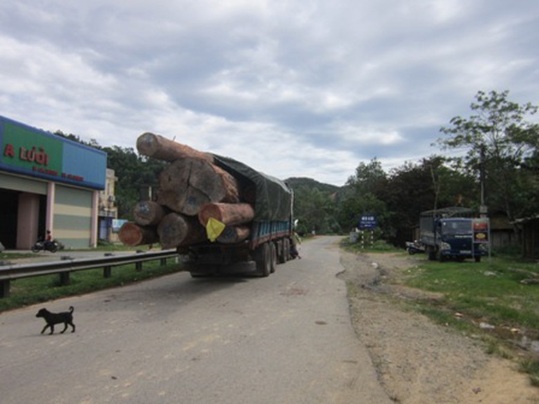 Nhứng s&uacute;c gỗ th&ograve;i hẳn ra khỏi đu&ocirc;i xe như th&aacute;ch thức