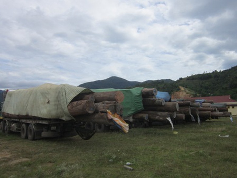 Xe n&agrave;o xe nấy lừng lững 