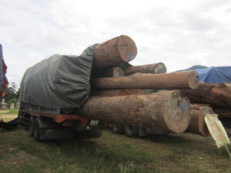 Những khối gỗ c&oacute; gi&aacute; trị cao được xếp d&agrave;y đặc tr&ecirc;n th&ugrave;ng xe