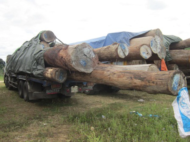 Mặc d&ugrave; số gỗ vượt ra khỏi đu&ocirc;i xe cả m&eacute;t nhưng c&aacute;c l&aacute;i xe vẫn chả ngại ngần g&igrave; cho đến khi bị xử l&yacute;