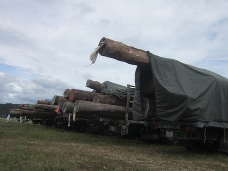 Những th&acirc;n gỗ ch&ograve;i ra khỏi th&ugrave;ng xe ngạo nghễ như những n&ograve;ng ph&aacute;o