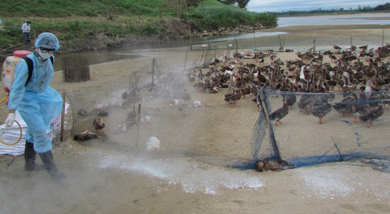 Trung Quốc ghi nhận một trường hợp mắc v&agrave; tử vong duy nhất chủng c&uacute;m A(H5N6) (Ảnh minh họa)