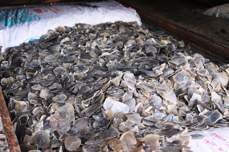 Trong khoang b&iacute; mật dưới gầm xe chứa to&agrave;n vẩy t&ecirc; t&ecirc;