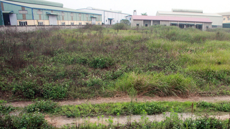 Nhiều dự &aacute;n bỏ hoang để cỏ mọc g&acirc;y l&atilde;ng ph&iacute; v&agrave; bất b&igrave;nh trong dư luận