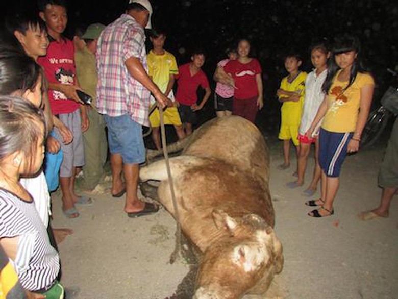 B&ograve; đi&ecirc;n bị bắn chết tại chỗ (Ảnh: D&acirc;n Tr&iacute;)