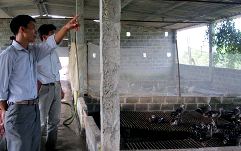 Anh Dần giới thiệu về m&ocirc; h&igrave;nh thuần h&oacute;a vịt trời - ảnh D&acirc;n Việt