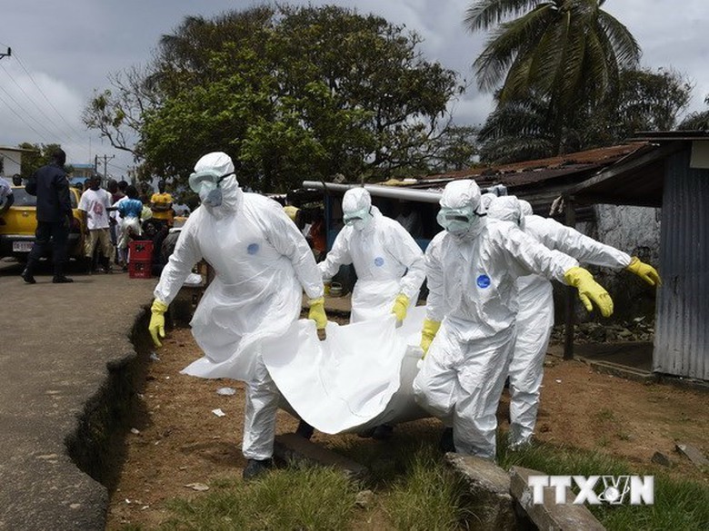 Nh&acirc;n vi&ecirc;n y tế chuyển thi thể nạn nh&acirc;n của dịch Ebola tại thủ đ&ocirc; Monrovia, Liberia. (Nguồn: AFP/TTXVN)