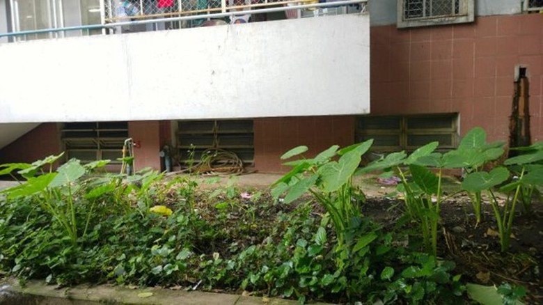 Theo những người chứng kiến, đ&acirc;y l&agrave; vị tr&iacute; b&eacute; Nam rơi xuống