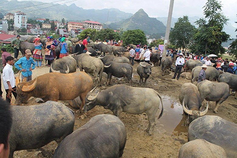 Một g&oacute;c chợ l&agrave; khu vực d&agrave;nh để mua b&aacute;n, trao đổi tr&acirc;u