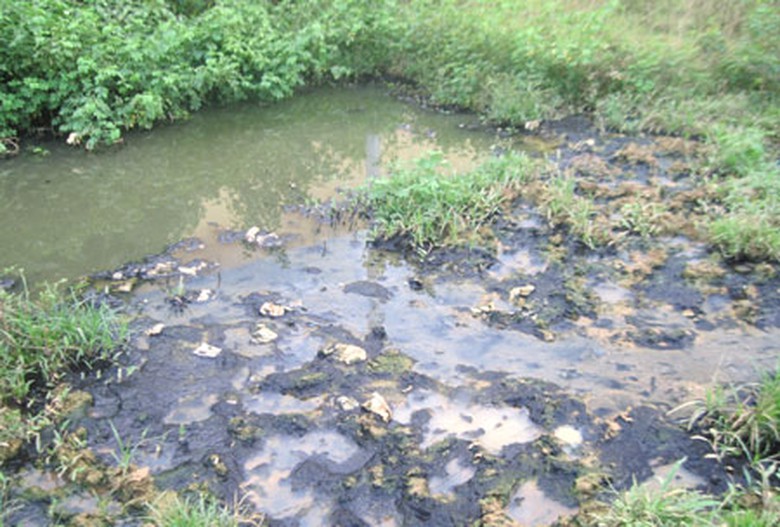 Nước thải của trại giam trước khi &ocirc;ng Qu&yacute; chưa c&oacute; đơn