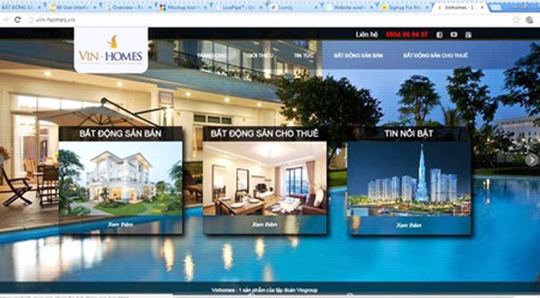Giao diện website giả mạo của Ho&agrave;ng Anh