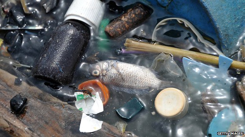 &Ocirc; nhiễm nguồn nước do r&aacute;c thải điện thoai di động l&agrave;m c&aacute; chết h&agrave;ng loạt