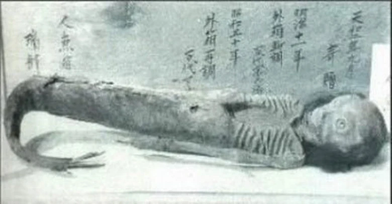 X&aacute;c chết n&agrave;ng ti&ecirc;n c&aacute; Nam Tư