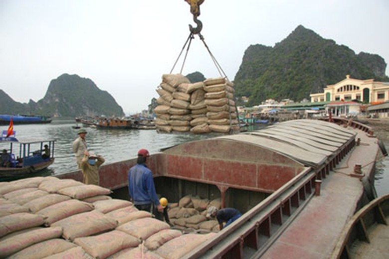 Vận tải thủy đang được t&aacute;i cơ cấu mạnh mẽ Ảnh: Viết Huy