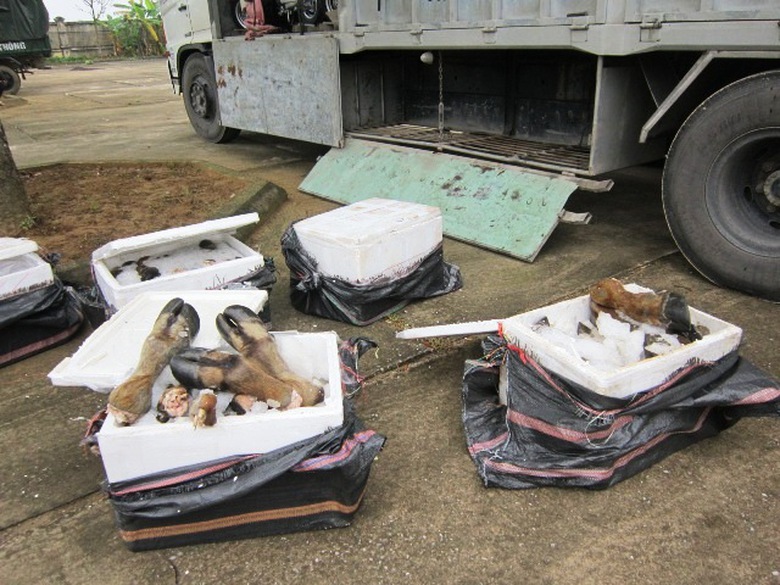 Qua kiểm tra, ph&aacute;t hiện trong c&aacute;c th&ugrave;ng xốp chứa đầy ch&acirc;n tr&acirc;u, b&ograve; kh&ocirc;ng r&otilde; nguồn gốc