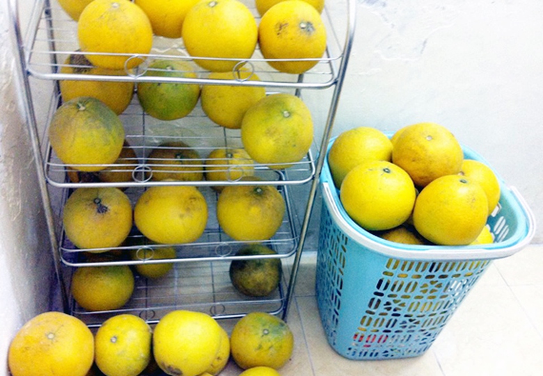 Nhiều khu vực l&acirc;n cận cũng trồng giống bưởi n&agrave;y, tuy lai bưởi Diễn nhưng cũng đắt kh&aacute;ch