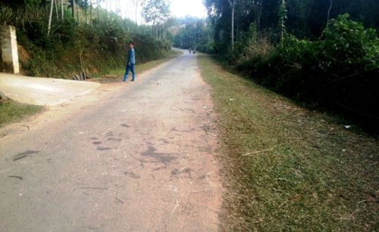 Hiện trường nơi người d&acirc;n th&ocirc;n Thạch Bằng bao v&acirc;y c&aacute;c đối tượng trộm ch&oacute;