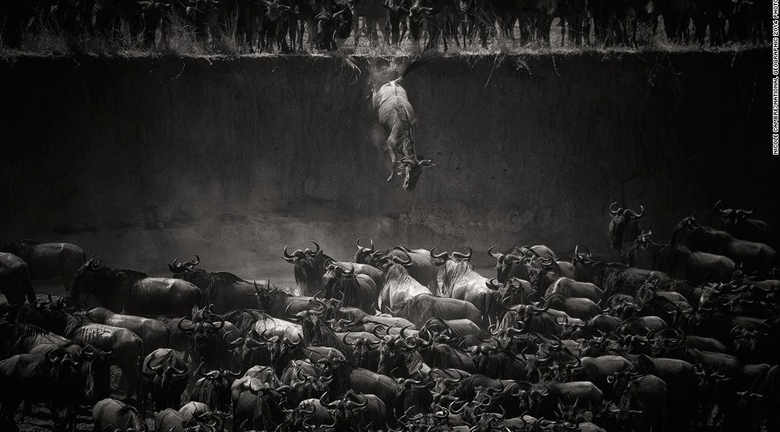 T&aacute;c giả Nicole Cambre ch&uacute; th&iacute;ch cho bức ảnh n&agrave;y: 