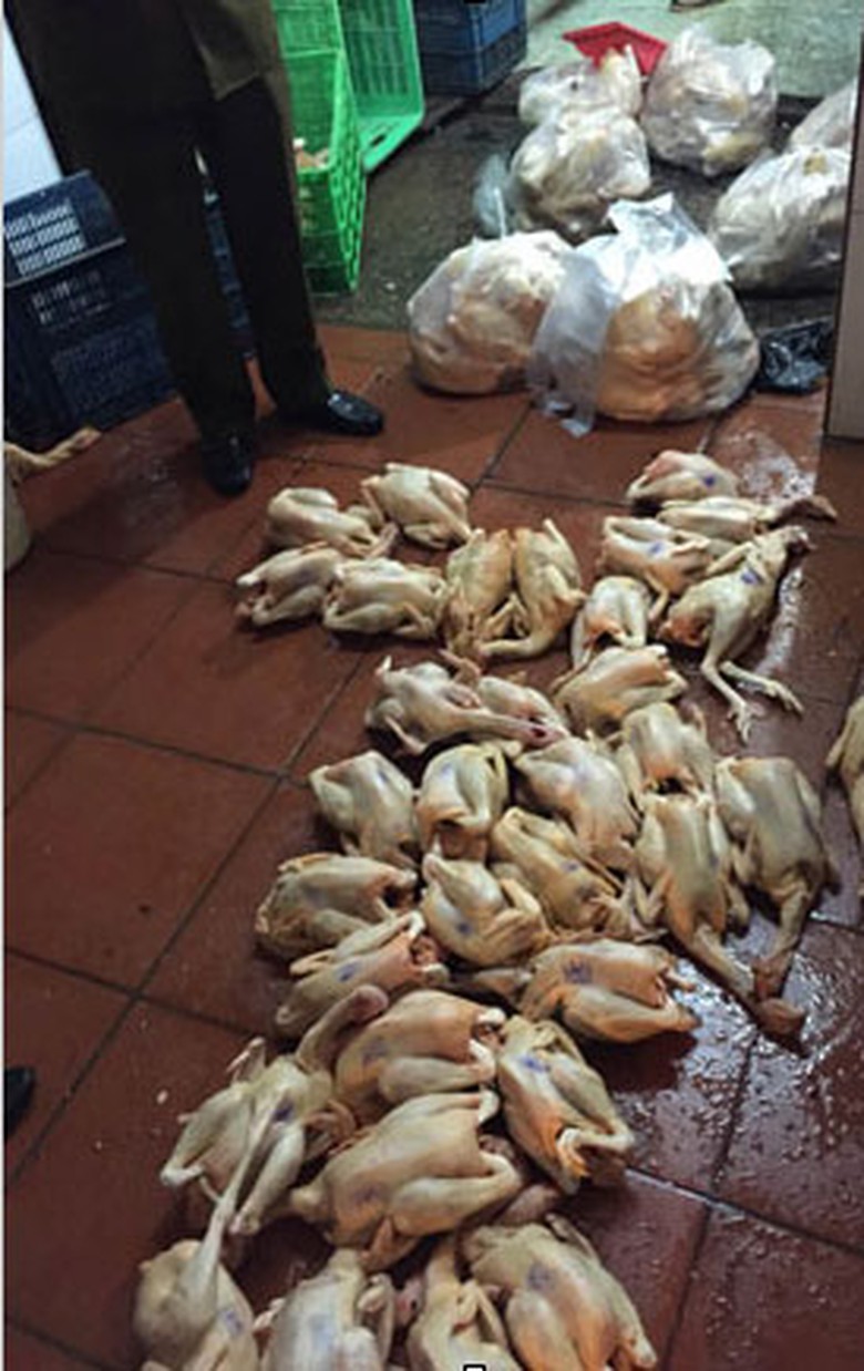 Số g&agrave; thịt được đ&oacute;ng dấu kiểm dịch giả vứt lăn l&oacute;c dưới s&agrave;n nh&agrave; mất vệ sinh