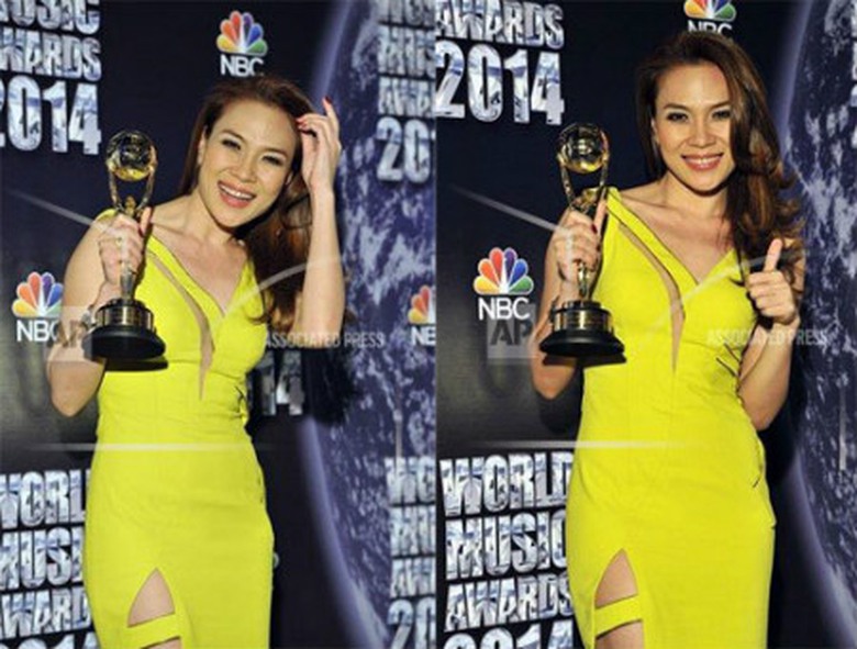 Mỹ T&acirc;m gi&agrave;nh giải của của World Musics Awards 2014 hồi th&aacute;ng 5/2014