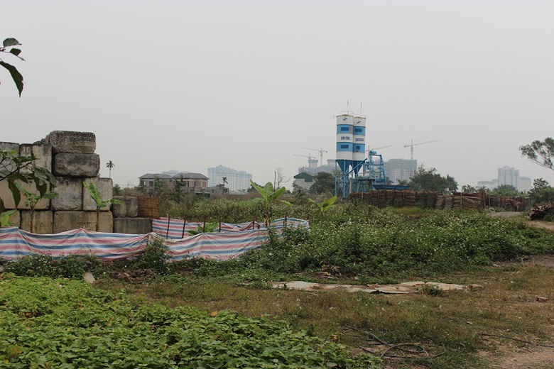To&agrave;n bộ khu đất dự t&iacute;nh x&acirc;y chung cư cao cấp giờ đ&acirc;y chỉ l&agrave; b&atilde;i cỏ hoang