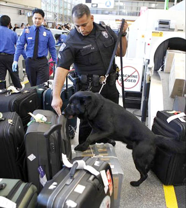 Cảnh sát Los Angeles kiểm tra an ninh tại Sân bay quốc tế Tom Bradley