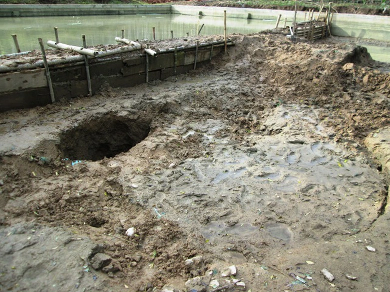 Mặc d&ugrave; gia đ&igrave;nh &ocirc;ng Loan đ&atilde; cho san lấp đất nhưng hiện tượng sụt l&uacute;n vẫn đang c&oacute; hiện tượng tiếp diễn