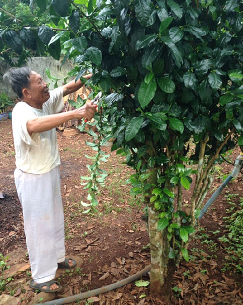 Anh h&ugrave;ng Lao động Nguyễn Phong Lưu vui th&uacute; điền vi&ecirc;n